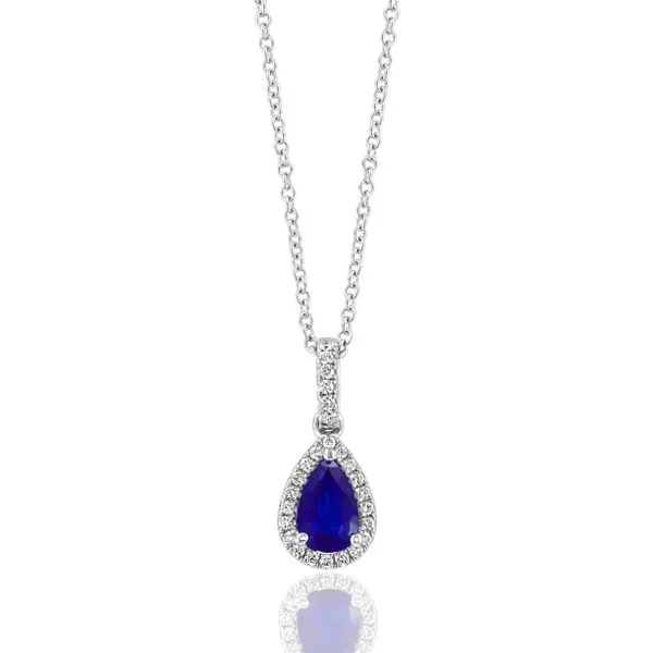 14kt WG Sapphire and Diamond Halo Pendant Carroll's Jewelers Doylestown, PA