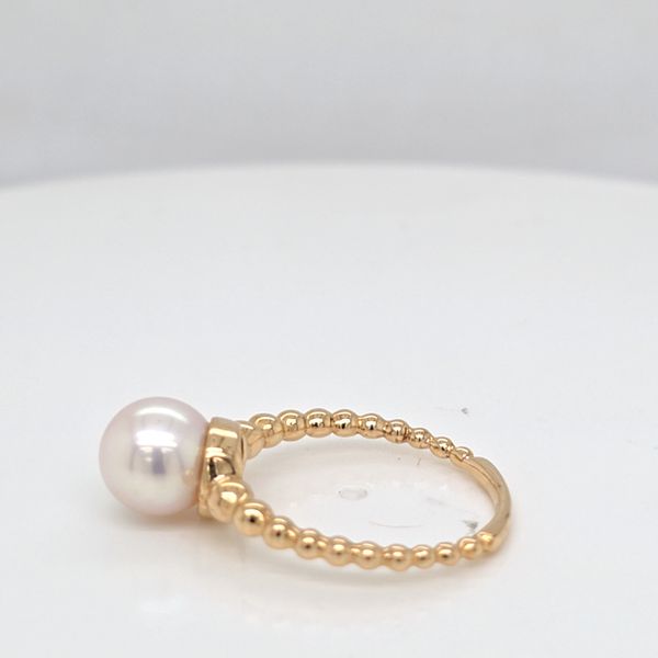 YG Single Pearl Ring Image 2 Carroll's Jewelers Doylestown, PA