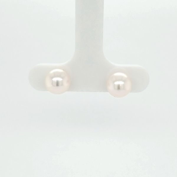 14kt WG 7.x5 x 7mm Akoya Pearl Stud Earrings Carroll's Jewelers Doylestown, PA