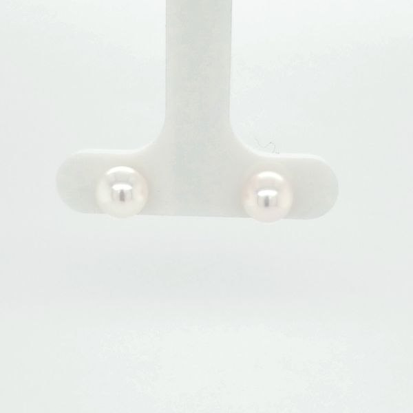 6.50x6.00mm Pearl Stud earrings Carroll's Jewelers Doylestown, PA