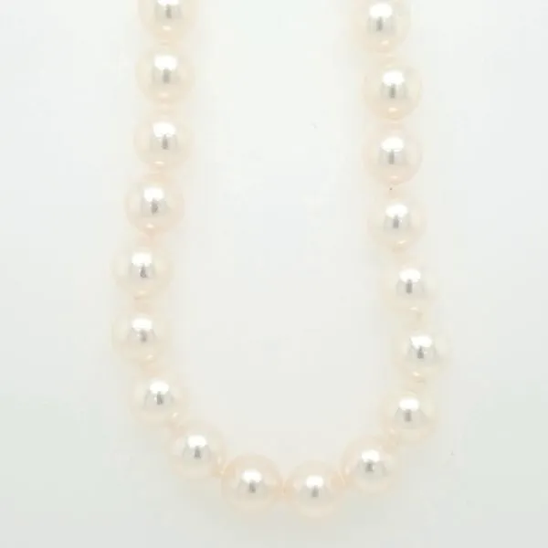 7x 6.5mm A+ Quality Akoya Pearl strand thumb image 1