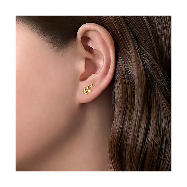 14kt YG Leaf Stud Earrings Image 2 Carroll's Jewelers Doylestown, PA