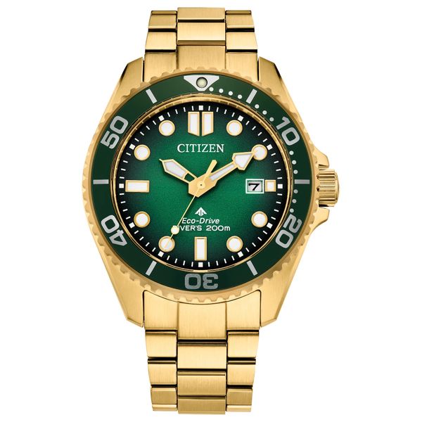 Citizen Gent's Promaster Dive watch Carroll's Jewelers Doylestown, PA