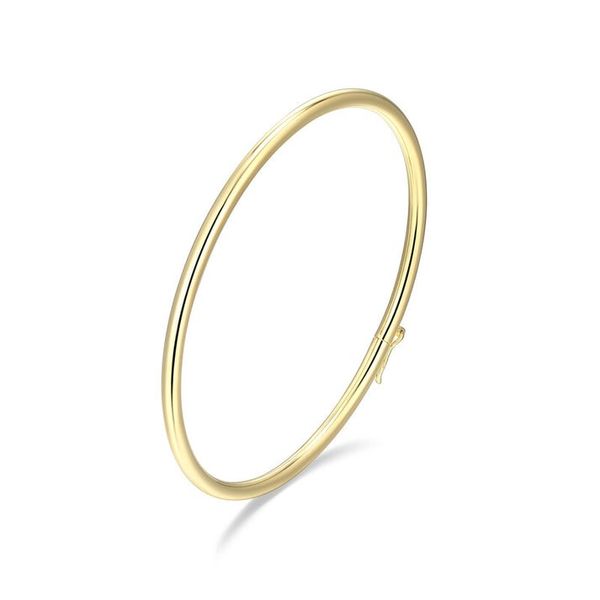 GP/SS  Bangle Bracelet Carroll's Jewelers Doylestown, PA