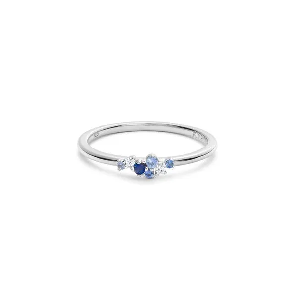 SS Lab Sapphire and Diamond Ring Carroll's Jewelers Doylestown, PA
