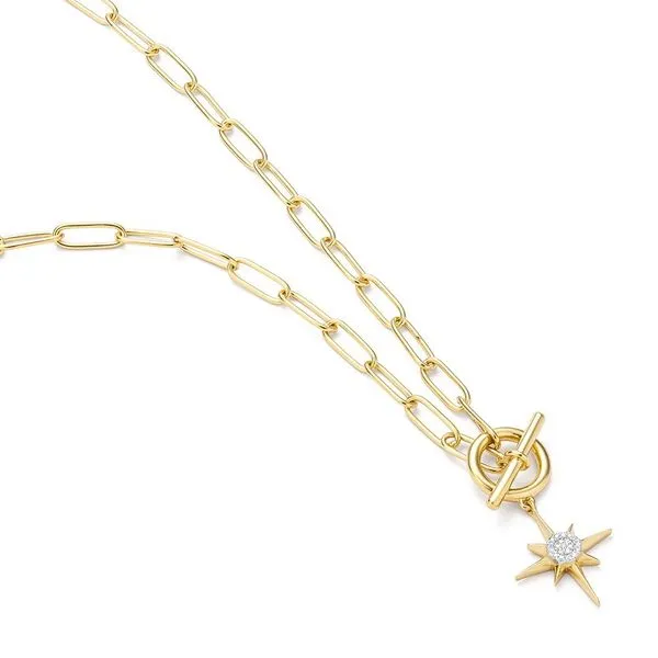 SS YGP North Star Necklace Carroll's Jewelers Doylestown, PA