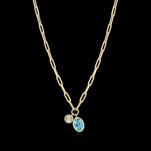 December Birthstone Necklace Carroll's Jewelers Doylestown, PA