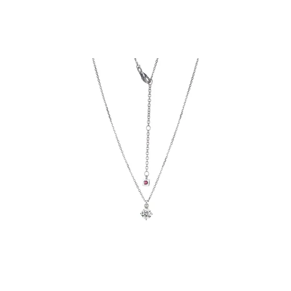 SS Moissanite and  and Lab Grown Diamond Pendant