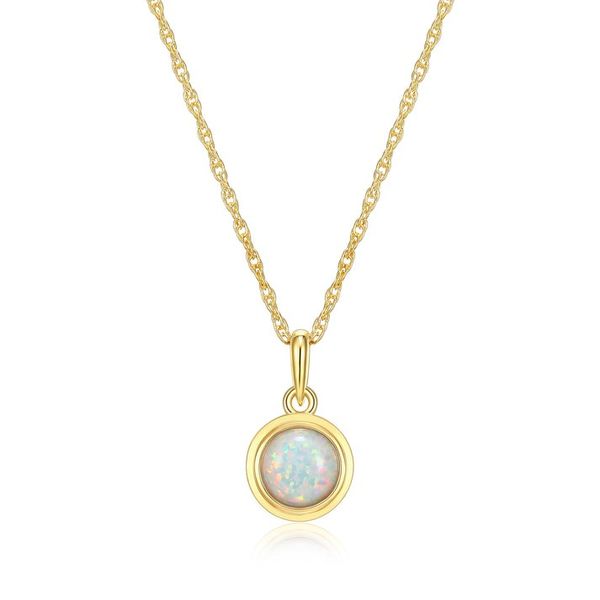 GP/SS Opal Pendant Carroll's Jewelers Doylestown, PA
