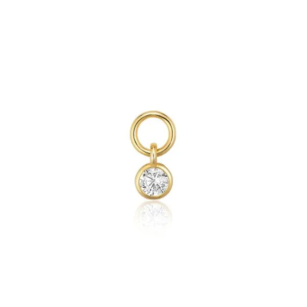 Necklace/Earring Charm