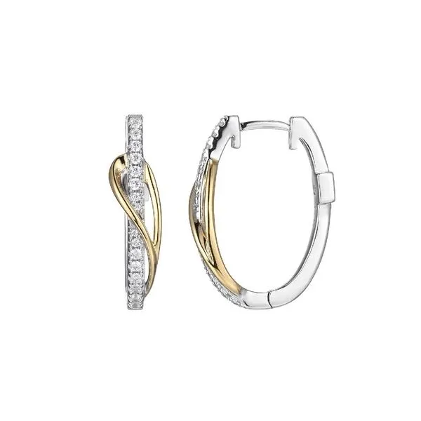 Two Tone SS/GP CZ Hoop Earrings Carroll's Jewelers Doylestown, PA