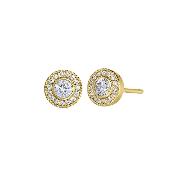 Yellow over SS June Birthstone Earrings Carroll's Jewelers Doylestown, PA