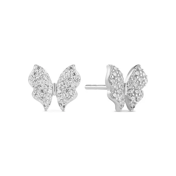 SS Butterfly CZ Earrings