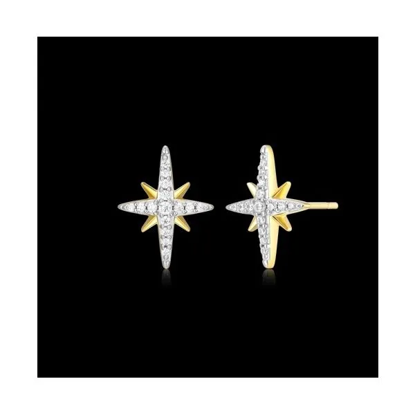 GP/SS Star Stud Earrings with Lab Diamonds Carroll's Jewelers Doylestown, PA