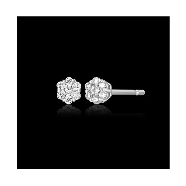 SS Cluster STud Earrings Carroll's Jewelers Doylestown, PA