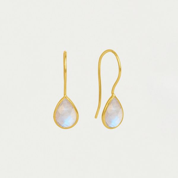 Gold Plated Moonstone Earrings Carroll's Jewelers Doylestown, PA