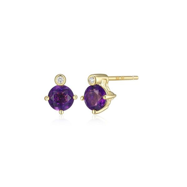Yellow Gold February Birthstone Earrings Carroll's Jewelers Doylestown, PA