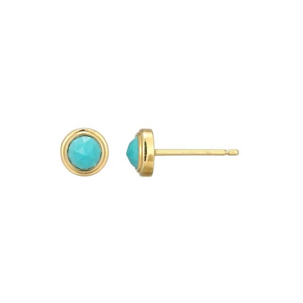 GP/SS December Birthstone Stud earrings Carroll's Jewelers Doylestown, PA