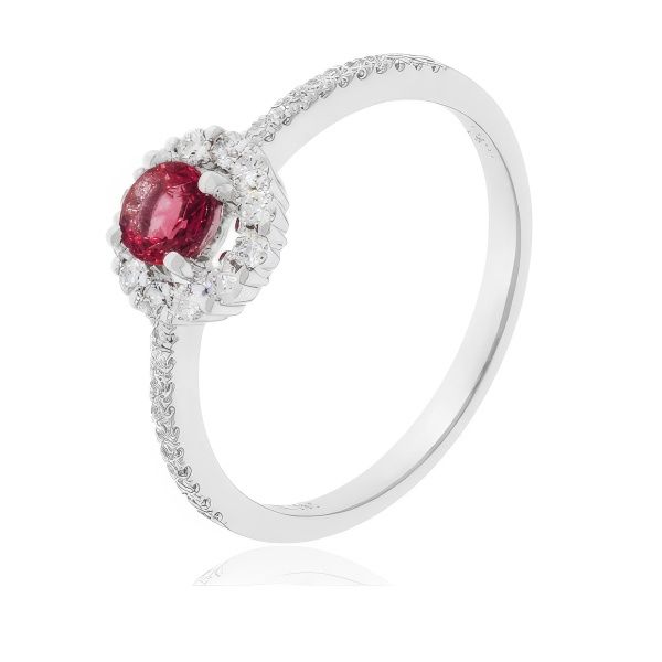 14K White Gold Round Ruby Halo Fashion Ring Image 2 Goldmart Jewelers Redding, CA