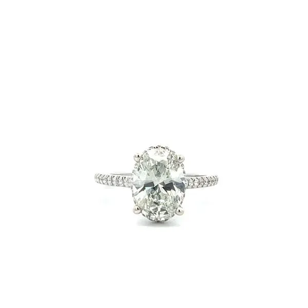 3.00CTW 14K WG LG Oval With Mined Diamond Hidden Halo accented Bridge Engagement Ring The Ring Austin Round Rock, TX
