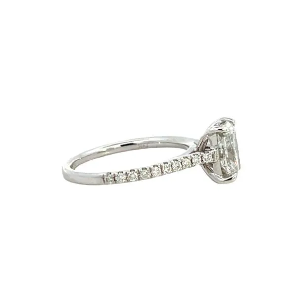1 3/4CTW 14K White Gold Diamond Hidden Halo Engagement Ring Size 7 Image 3 The Ring Austin Round Rock, TX