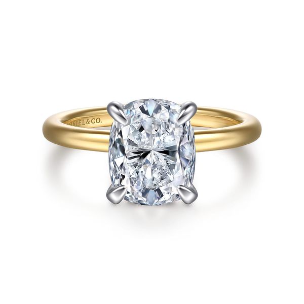 Hidden Halo Engagement Ring Image 2 The Ring Austin Round Rock, TX