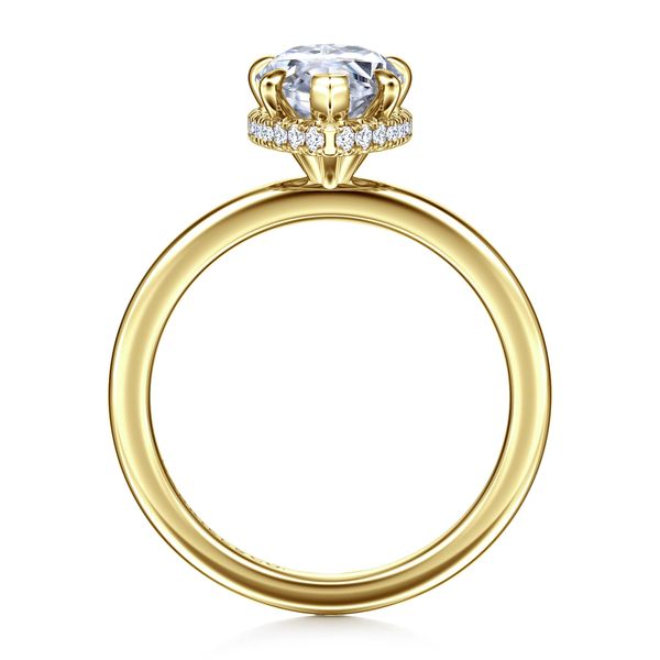 Hidden Halo Engagement Ring Image 2 The Ring Austin Round Rock, TX