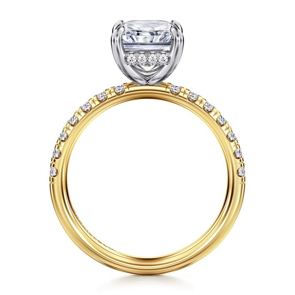 Hidden Halo Engagement Ring Image 2 The Ring Austin Round Rock, TX
