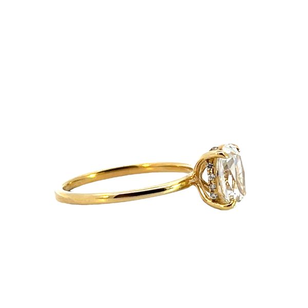 Hidden Halo Engagement Ring Image 2 The Ring Austin Round Rock, TX