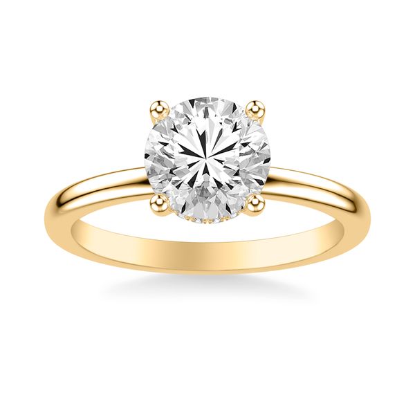 Hidden Halo Engagement Ring Image 2 The Ring Austin Round Rock, TX