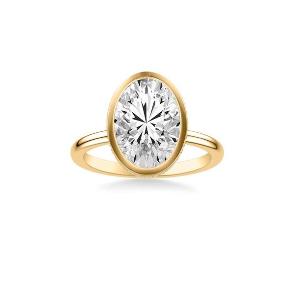 Hidden Halo Engagement Ring Image 2 The Ring Austin Round Rock, TX