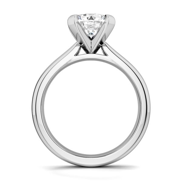 Other Image 2 The Ring Austin Round Rock, TX