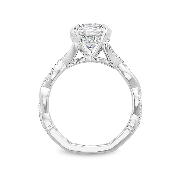 Other Image 2 The Ring Austin Round Rock, TX