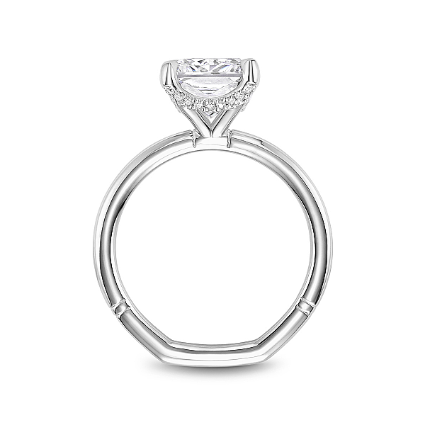 Other Image 2 The Ring Austin Round Rock, TX