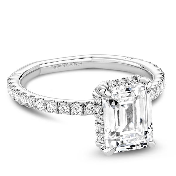 Hidden Halo Engagement Ring Image 3 The Ring Austin Round Rock, TX