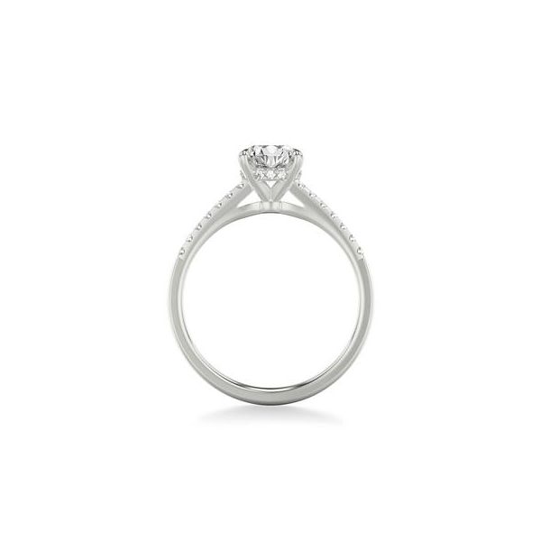 Hidden Halo Engagement Ring Image 2 The Ring Austin Round Rock, TX