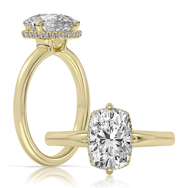 Hidden Halo Engagement Ring The Ring Austin Round Rock, TX