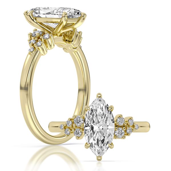 Cluster Engagement Ring The Ring Austin Round Rock, TX