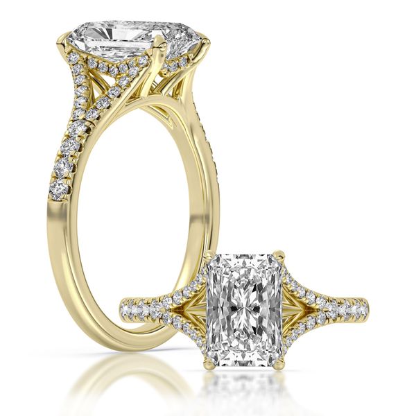 Split Shank Engagement Ring The Ring Austin Round Rock, TX