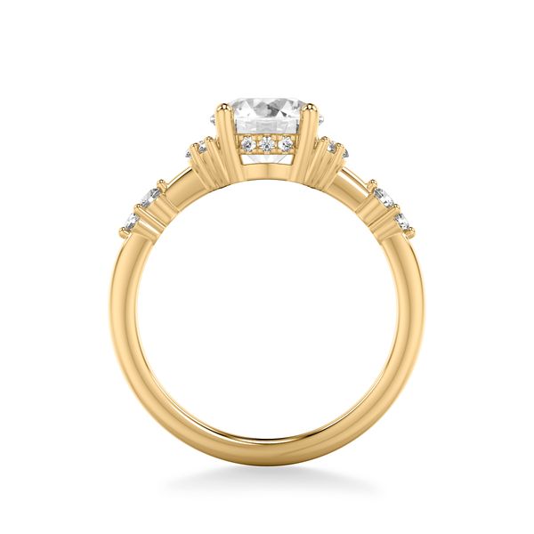 Hidden Halo Engagement Ring Image 2 The Ring Austin Round Rock, TX