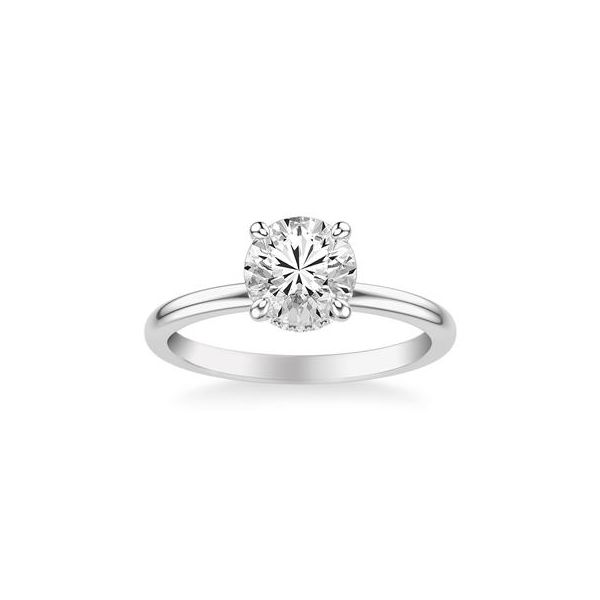 Hidden Halo Engagement Ring Image 2 The Ring Austin Round Rock, TX