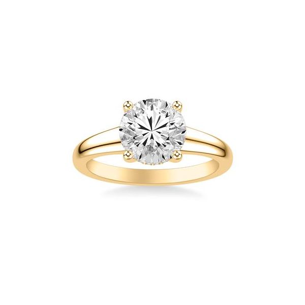 Hidden Halo Engagement Ring Image 2 The Ring Austin Round Rock, TX