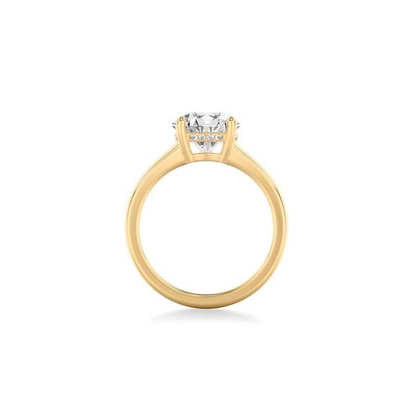 Hidden Halo Engagement Ring Image 3 The Ring Austin Round Rock, TX