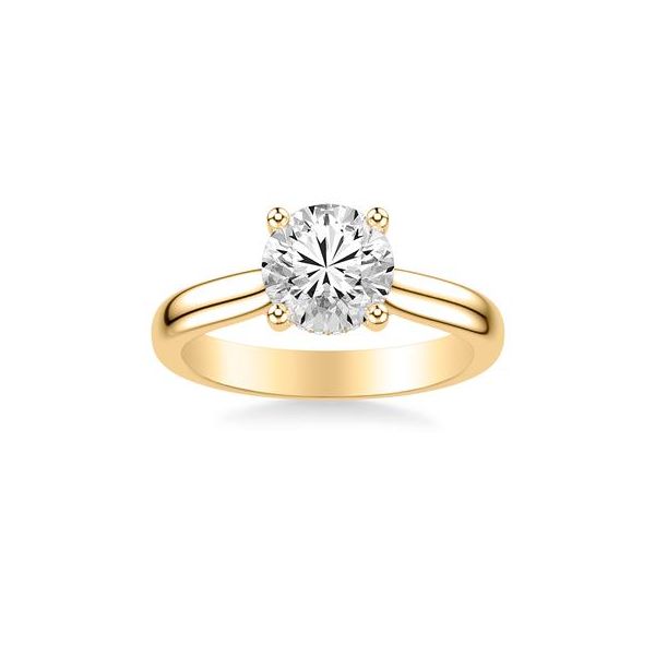 14K Yellow Gold Hidden Halo Ring Image 2 The Ring Austin Round Rock, TX
