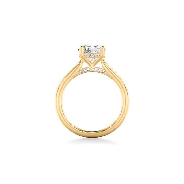 14K Yellow Gold Hidden Halo Ring Image 3 The Ring Austin Round Rock, TX