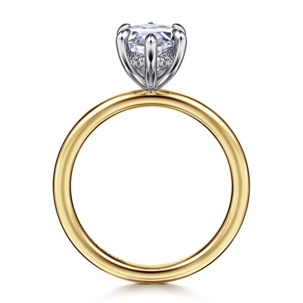 Ring Image 2 The Ring Austin Round Rock, TX