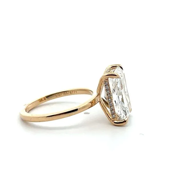 Lab Grown Complete Engagement Rings Image 2 The Ring Austin Round Rock, TX