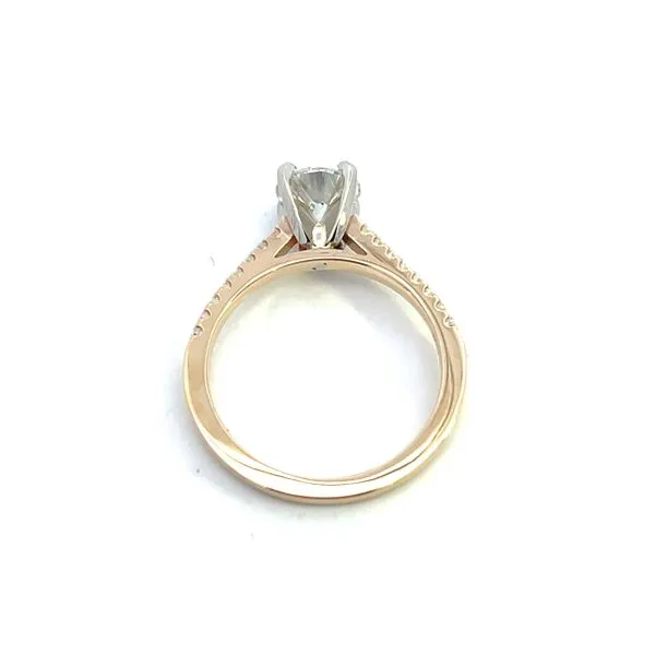 1 1/4CTW 14K LG Round Center Cathedral Engagement Ring Size 7 Image 2 The Ring Austin Round Rock, TX