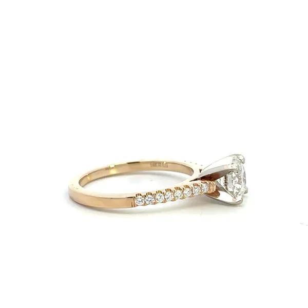 1 1/4CTW 14K LG Round Center Cathedral Engagement Ring Size 7 Image 4 The Ring Austin Round Rock, TX