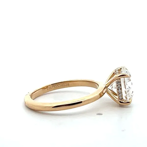 Lab Grown Complete Engagement Rings Image 2 The Ring Austin Round Rock, TX